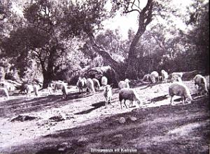 Images d'Algerie 017